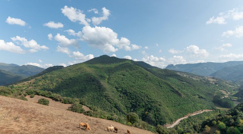 Photo of Rustic Heaven