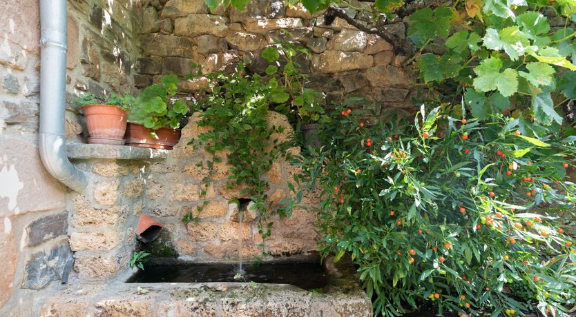 Photo of Rustic Heaven