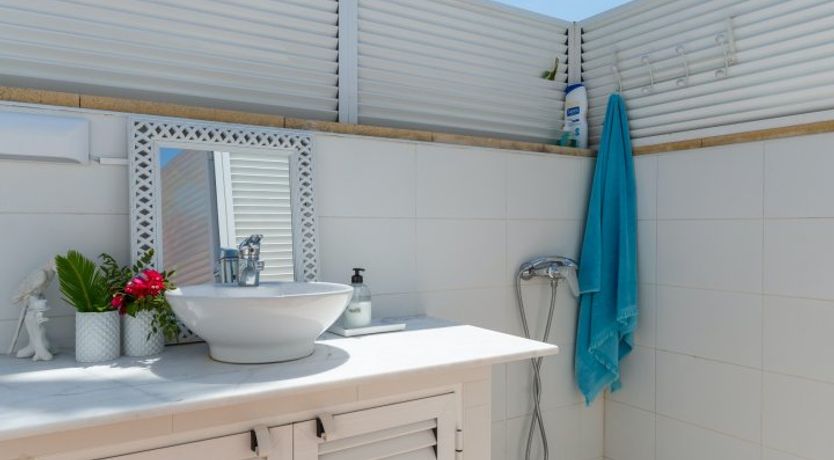 Photo of Palm Tree Chess