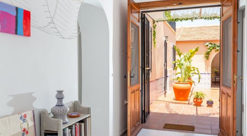 Photo of Palm Tree Chess