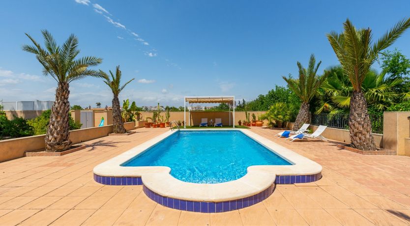 Photo of Palm Tree Chess