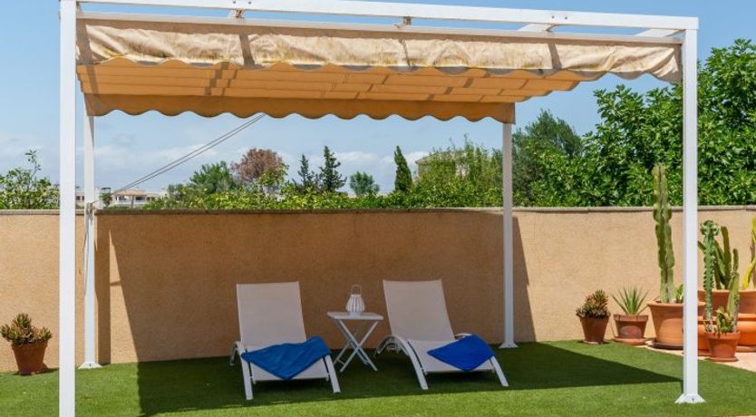 Photo of Palm Tree Chess