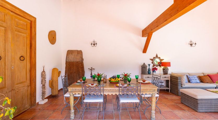 Photo of Palm Tree Chess