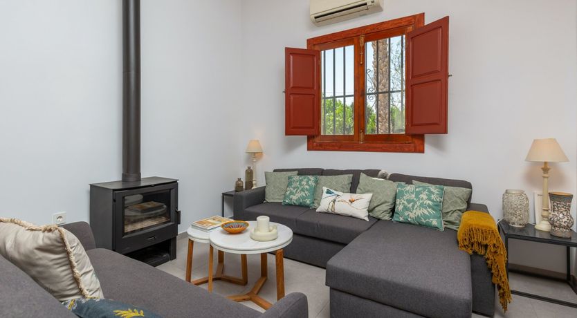 Photo of Palm Tree Chess