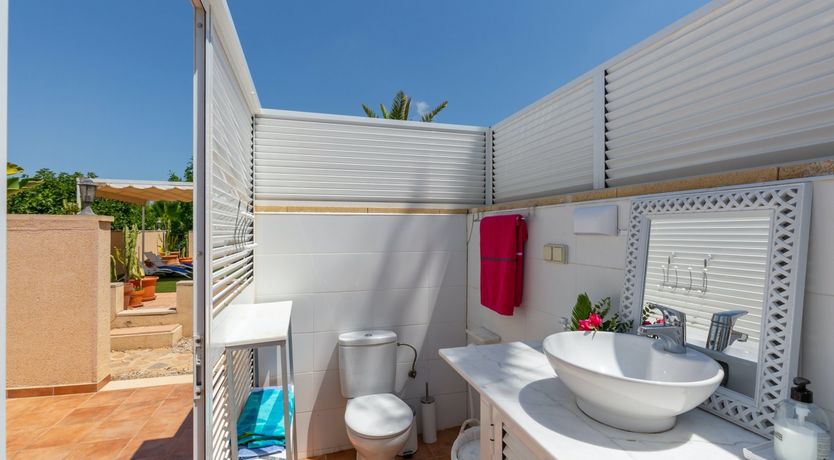 Photo of Palm Tree Chess