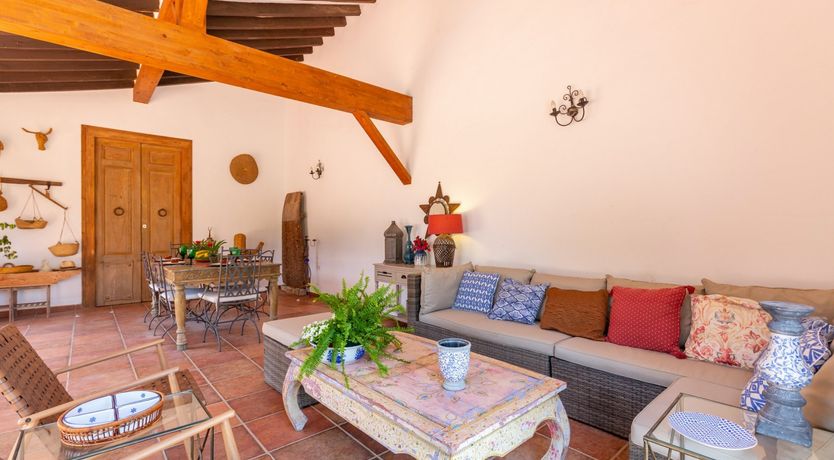 Photo of Palm Tree Chess