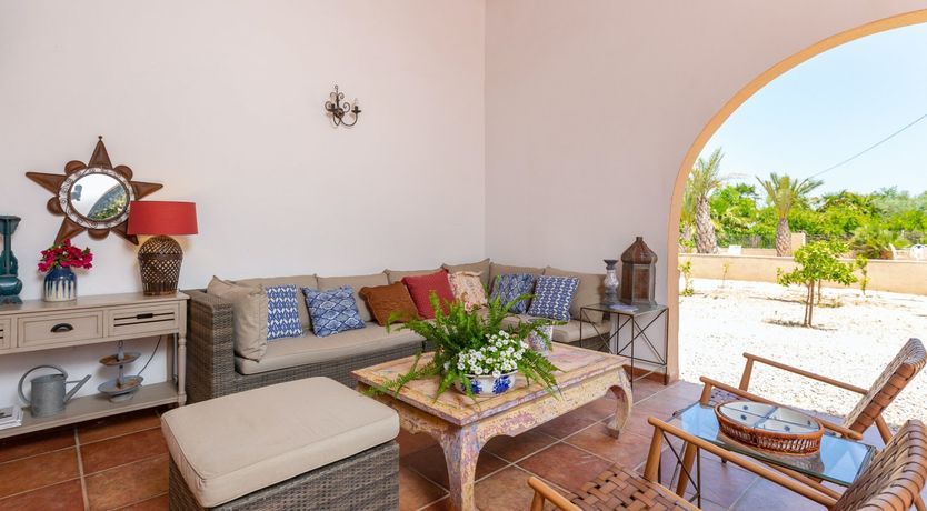 Photo of Palm Tree Chess