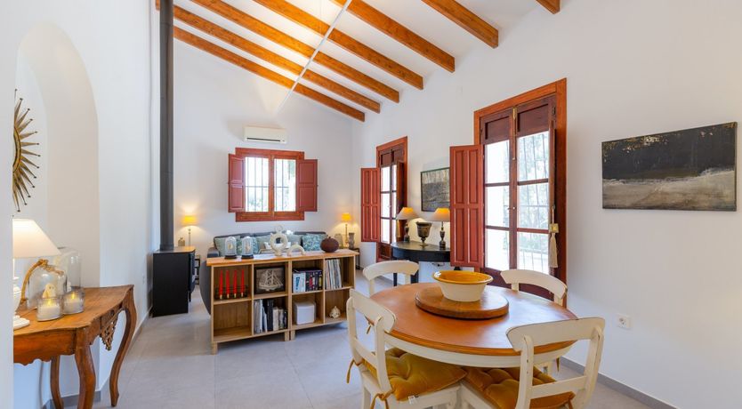 Photo of Palm Tree Chess