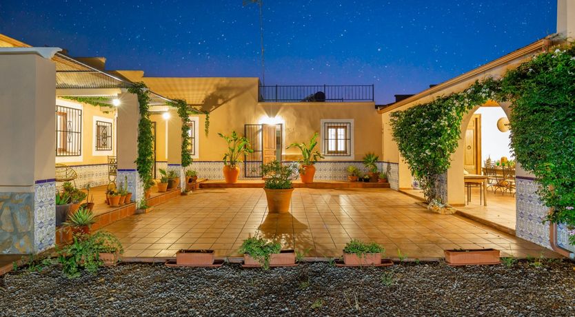 Photo of Palm Tree Chess