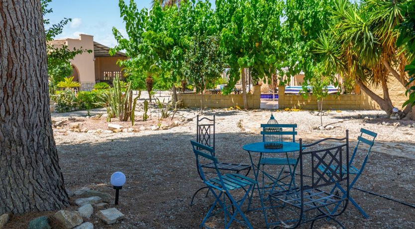 Photo of Palm Tree Chess