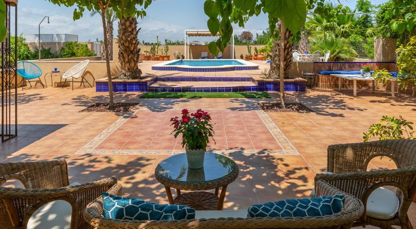 Photo of Palm Tree Chess