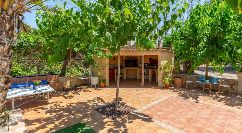 Photo of Palm Tree Chess