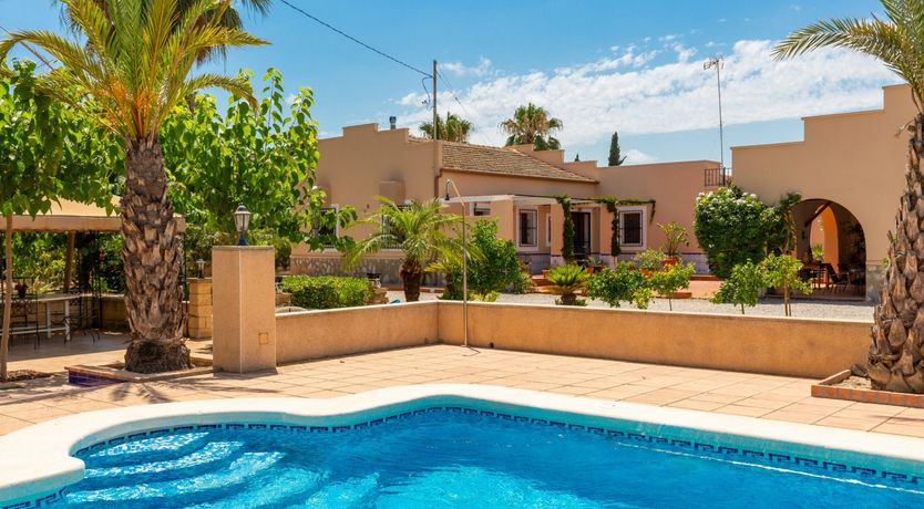 Photo of Palm Tree Chess