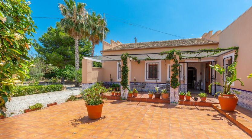 Photo of Palm Tree Chess