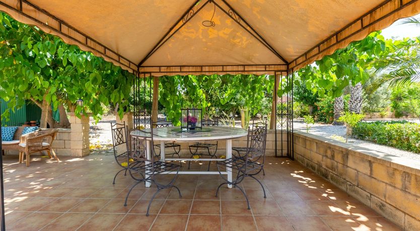 Photo of Palm Tree Chess