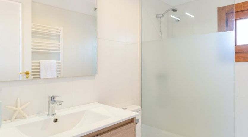 Photo of Palm Tree Chess