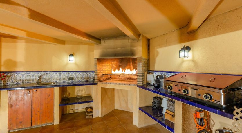 Photo of Palm Tree Chess