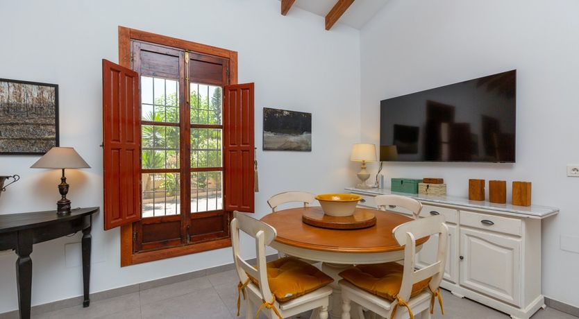 Photo of Palm Tree Chess