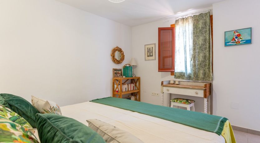 Photo of Palm Tree Chess