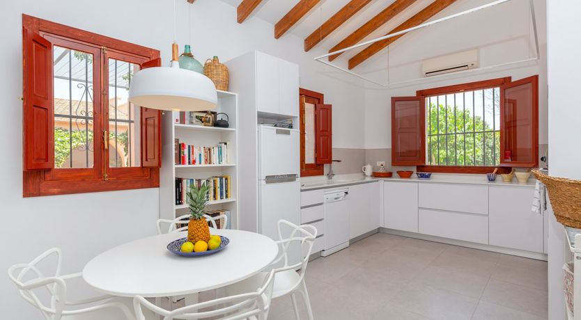 Photo of Palm Tree Chess