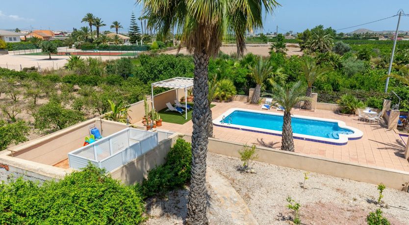 Photo of Palm Tree Chess