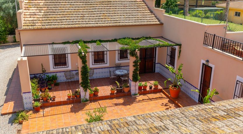 Photo of Palm Tree Chess