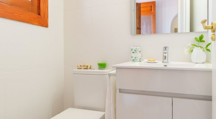 Photo of Palm Tree Chess