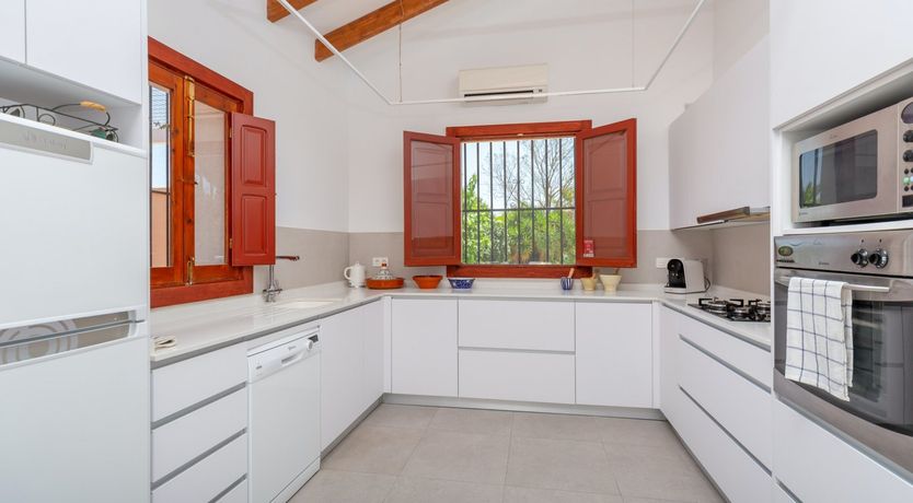 Photo of Palm Tree Chess