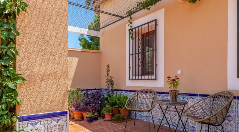 Photo of Palm Tree Chess