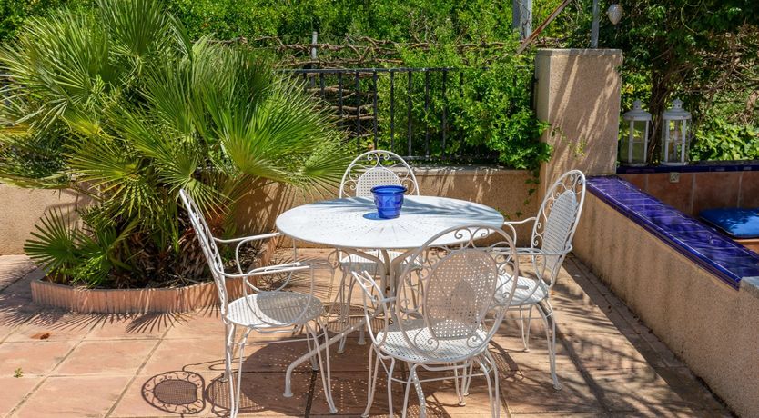 Photo of Palm Tree Chess