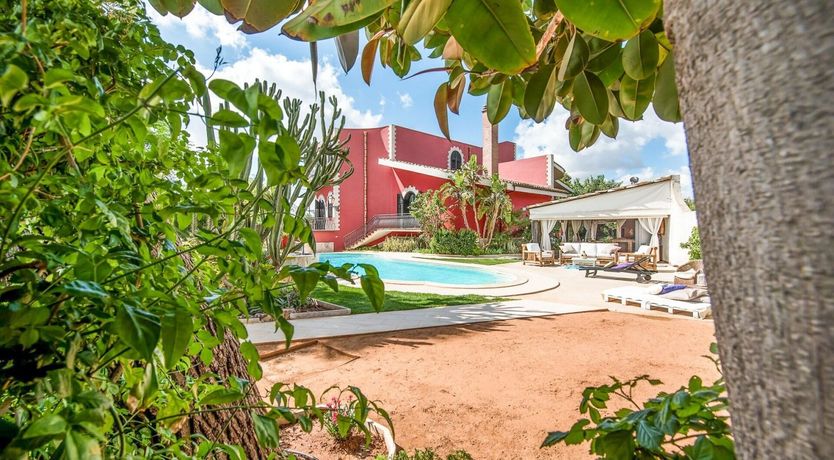 Photo of Sicilian Rose