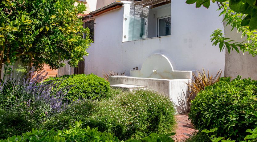 Photo of Green Suits You