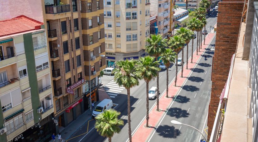 Photo of Up Above the Palms