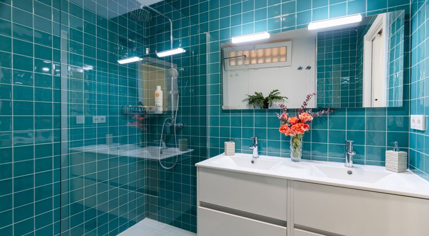 Photo of Up Above the Palms