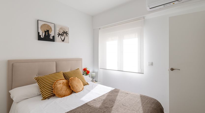 Photo of Up Above the Palms