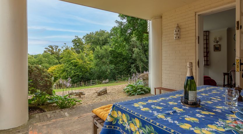 Photo of Every Wild Bluebell