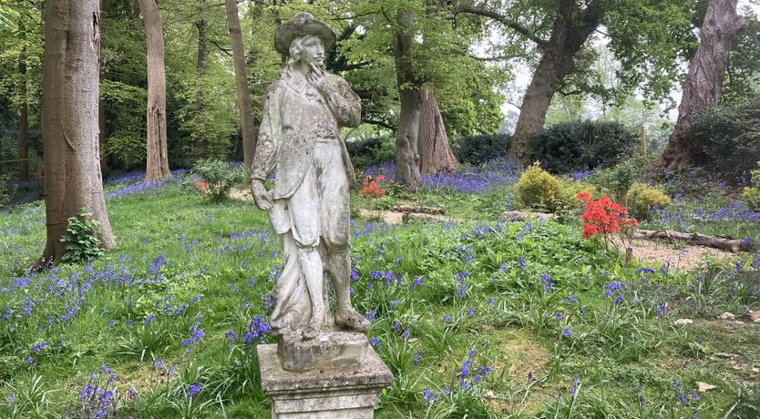 Photo of Every Wild Bluebell