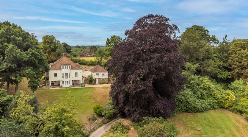 Photo of Every Wild Bluebell