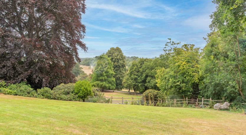 Photo of Every Wild Bluebell