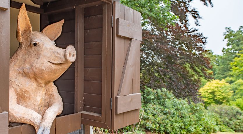 Photo of Every Wild Bluebell