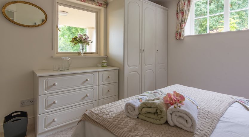 Photo of Every Wild Bluebell