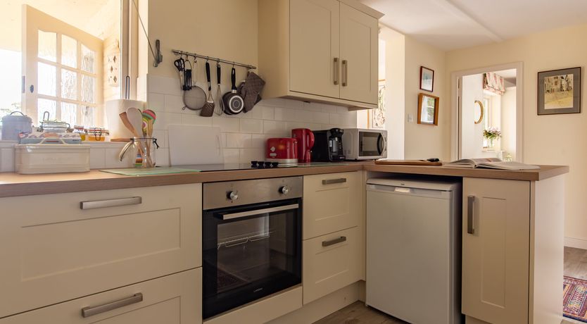 Photo of Every Wild Bluebell