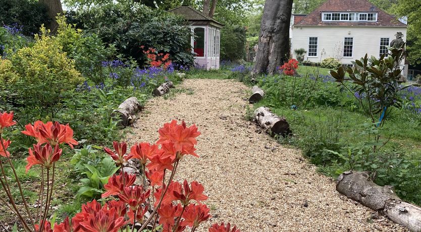 Photo of Every Wild Bluebell