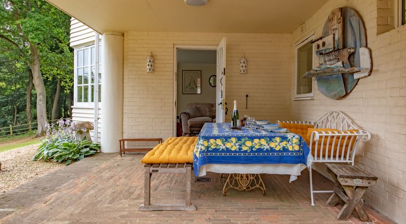 Photo of Every Wild Bluebell