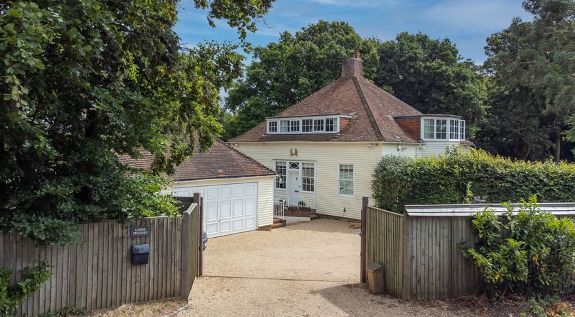 Photo of Every Wild Bluebell