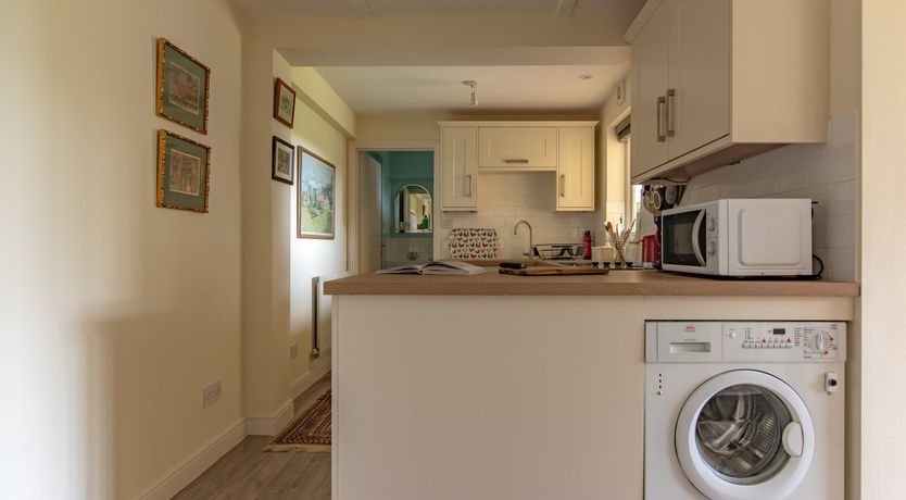 Photo of Every Wild Bluebell