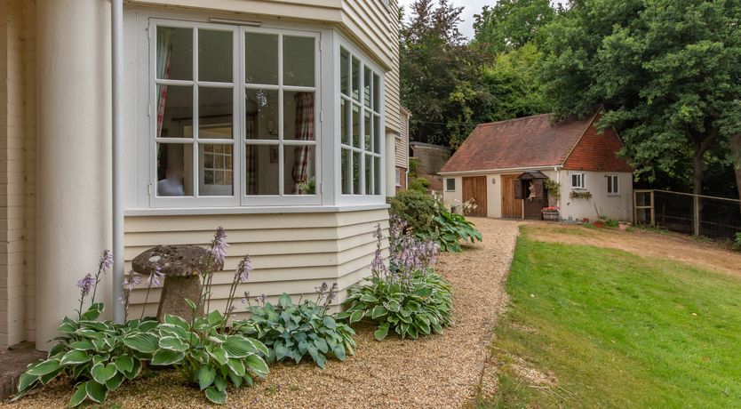 Photo of Every Wild Bluebell