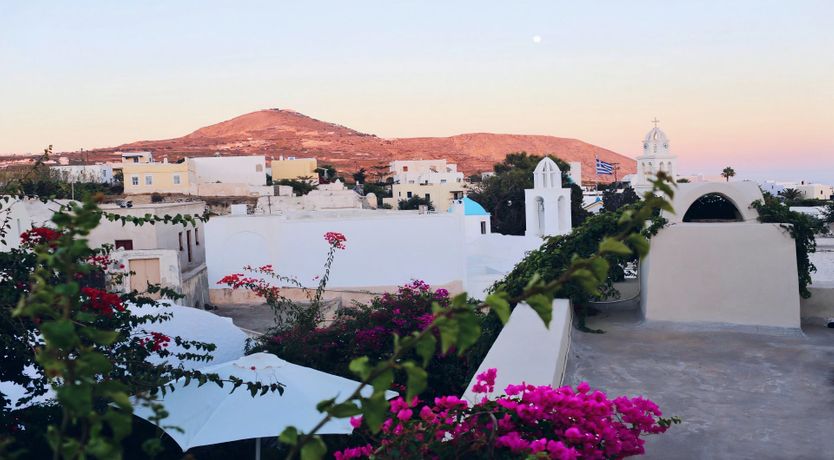 Photo of Floral Feast