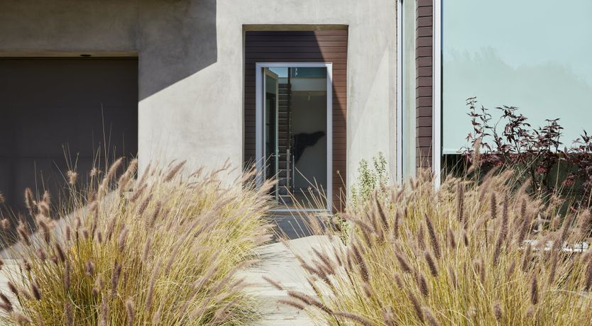 Photo of Wings of Joy