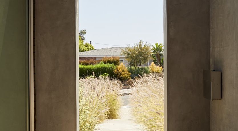 Photo of Wings of Joy